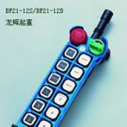 �_(t��i)�����������b����-BF21-12D/BF21-12S Yuding explosion proofremote controller