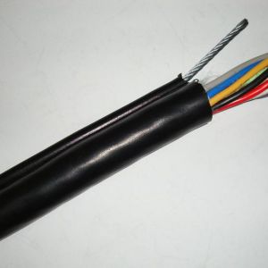 ��α�e���ؙC��|���|(zh��)���É�